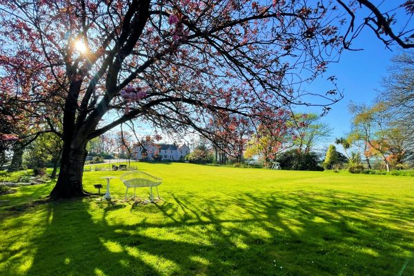 Plas Dinas Country House (Wales)